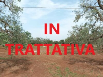 C.da Pozzo Faceto, Terreno edificabile per uso agricolo di 7703 mq