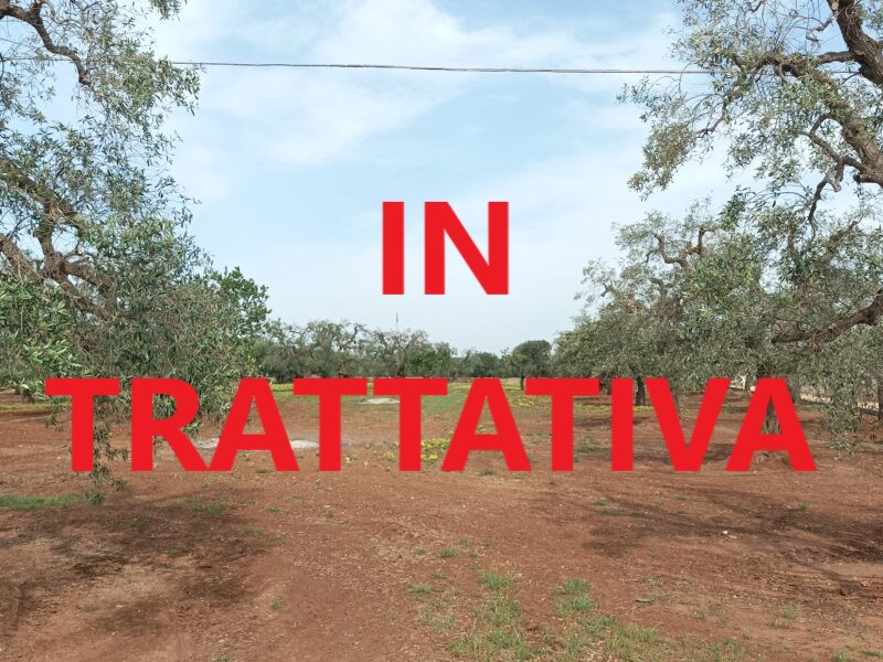 C.da Pozzo Faceto, Terreno edificabile per uso agricolo di 7703 mq