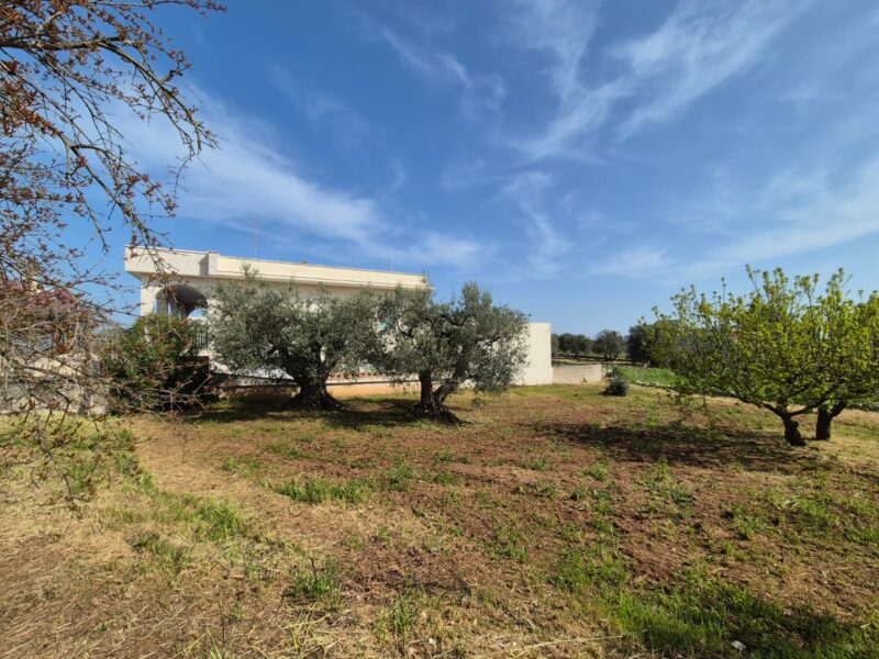 Doppia unità abitativa con locali deposito e terreno