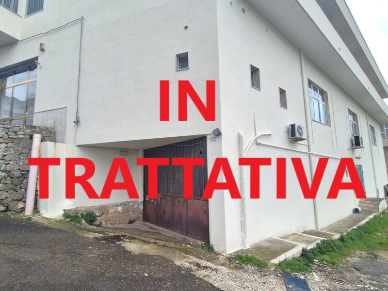 Ampio locale per attività artigianale/commerciale di 179 mq circa