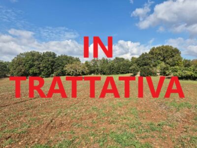 Terreno edificabile di 17.106 mq con fabbricato in pietra