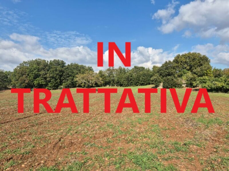 Terreno edificabile di 17.106 mq con fabbricato in pietra