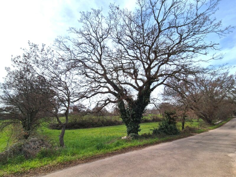 Terreno edificabile di 5.226 mq