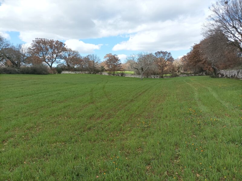 Terreno edificabile di 9.731 mq