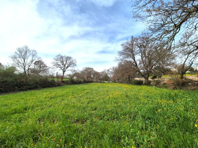 Terreno edificabile di 5.226 mq