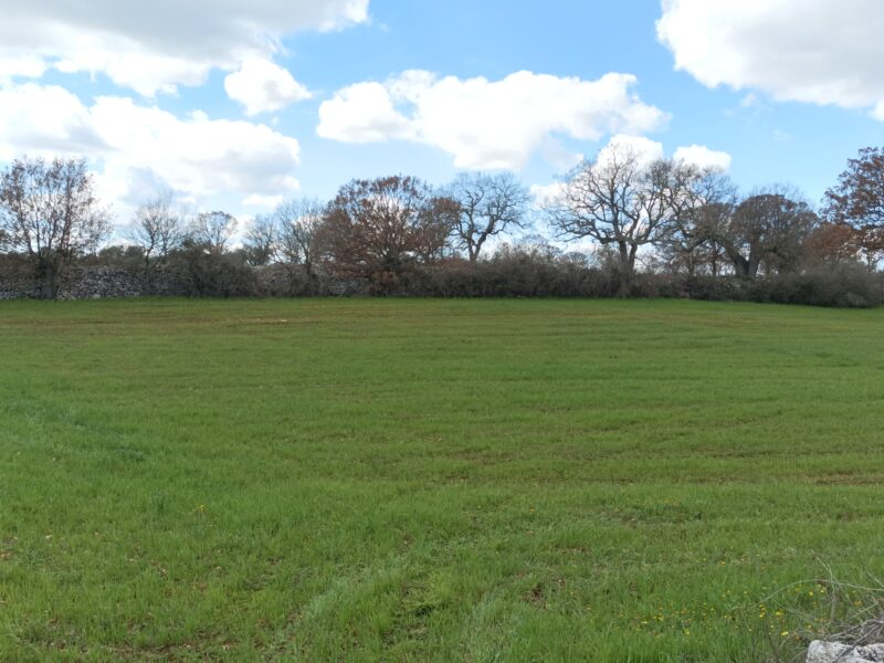 Terreno edificabile di 9.731 mq