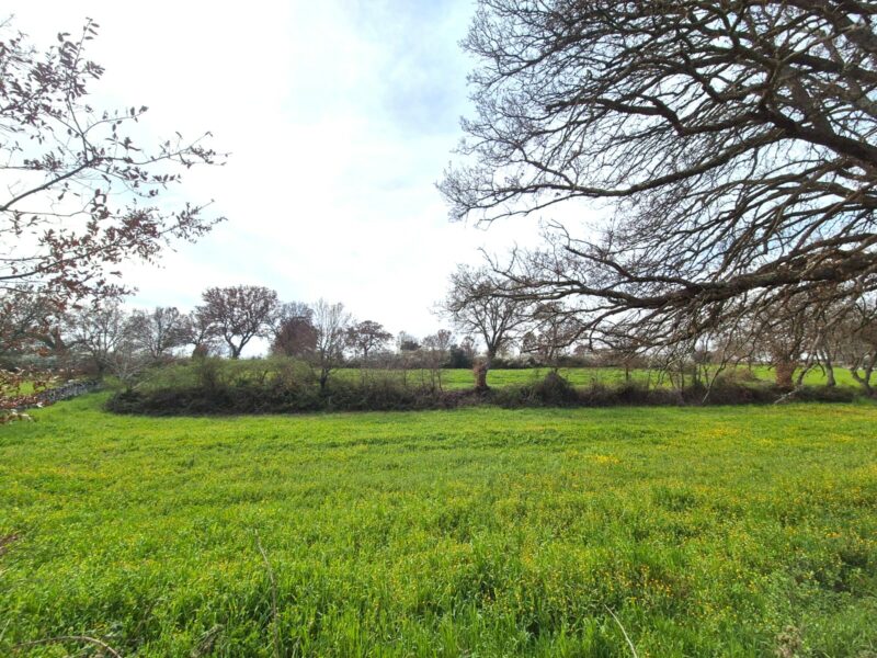 Terreno edificabile di 9.731 mq