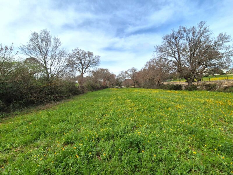 Terreno edificabile di 5.226 mq