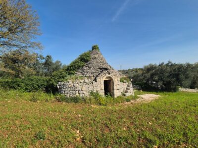 Trullo da ristrutturare con terreno di pertinenza di 7.880 mq