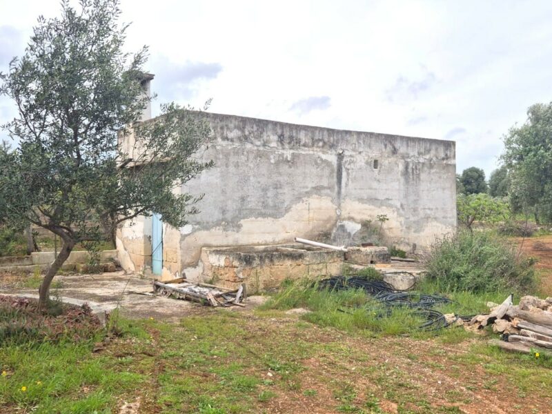 Terreno adibito ad uliveto di 14.888 mq con entrostante fabbricato