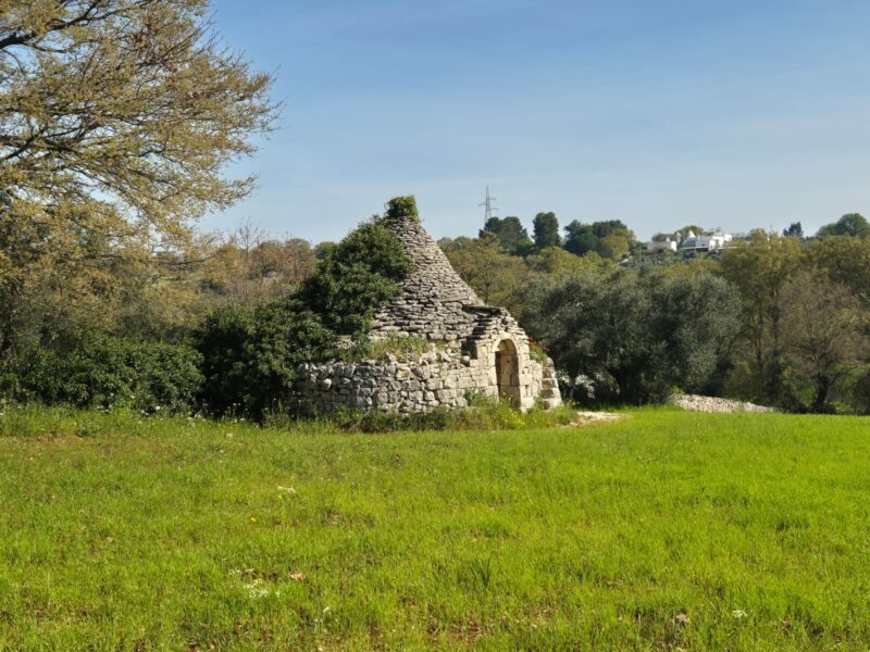 Trullo da ristrutturare con terreno di pertinenza di 7.880 mq