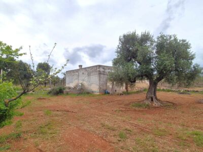 Terreno adibito ad uliveto di 14.888 mq con entrostante fabbricato